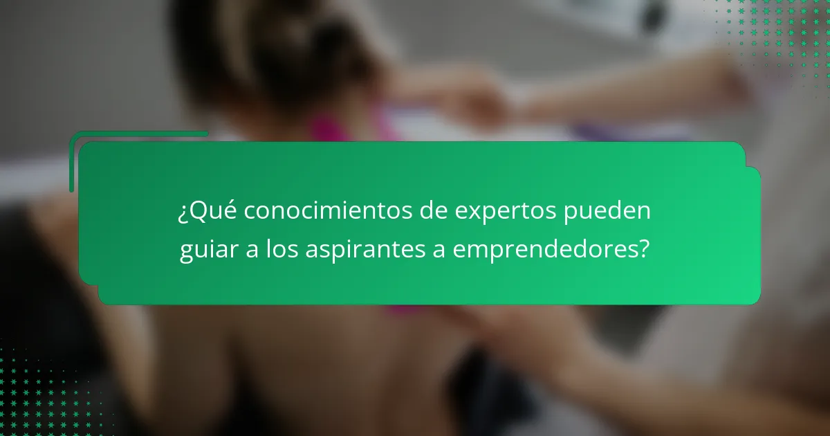 ¿Qué conocimientos de expertos pueden guiar a los aspirantes a emprendedores?